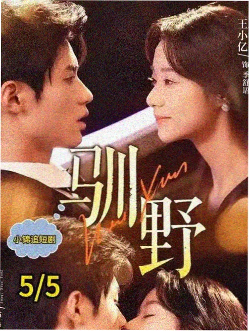 海岸线以北 悬疑剧海报